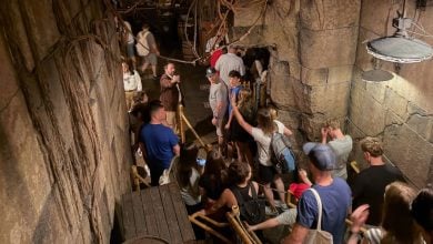 Guests queue for Indiana Jones Adventure at Disneyland