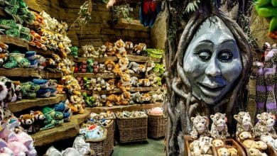 Plush toys arranged on shelves and in baskets surround an enchanting tree with a giant, whimsical face carved into its trunk, capturing the playful atmosphere of Disney Village at Disneyland Paris.
