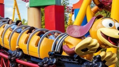 guests ride slinky dog dash in disney world's hollywood studios park