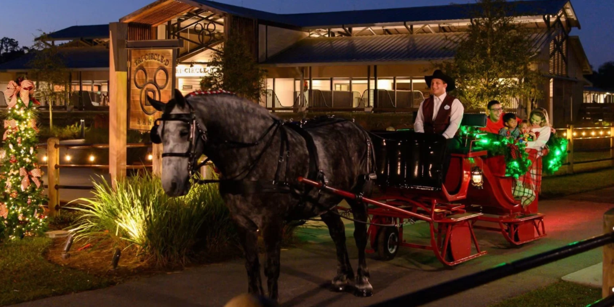 A draft horse pulls a holiday carriage ride at Disney’s Fort Wilderness Resort.