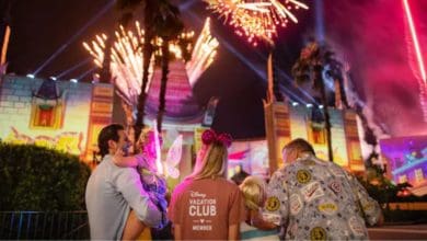 A family watches fireworks over Cinderella Castle at Magic Kingdom.