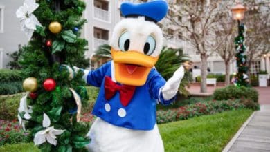 Donald Duck at hotel decorated for the holidays at Disney World