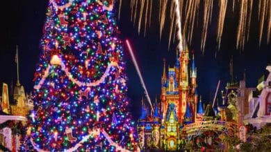 Illuminated Disney Jollywood Nights signage surrounded by holiday decorations at Disney's Hollywood Studios.