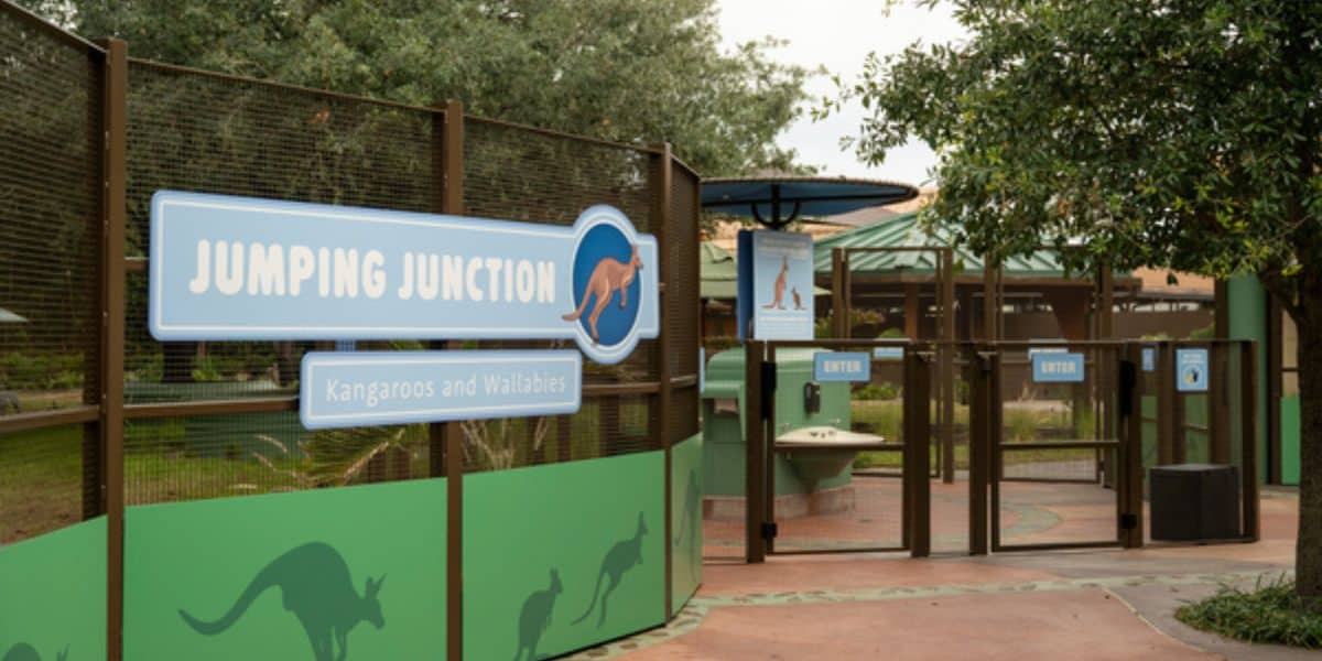 Jumping Junction entrance sign at Disney’s Animal Kingdom.