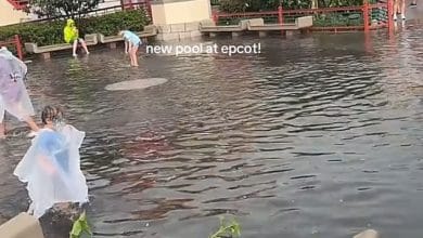 Guests in ponchos wading through a flooded pathway at Epcot.