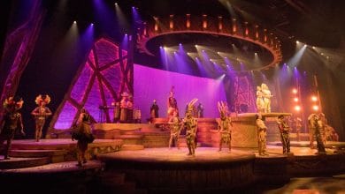 Performers in The Lion King: Rhythms of the Pride Lands